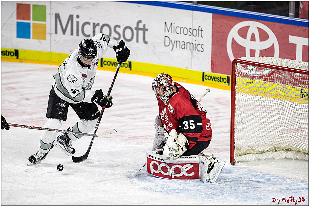 DEL, Koelner Haie - Nuernberg Thomas Sabo Ice Tigers, 10.12.2017