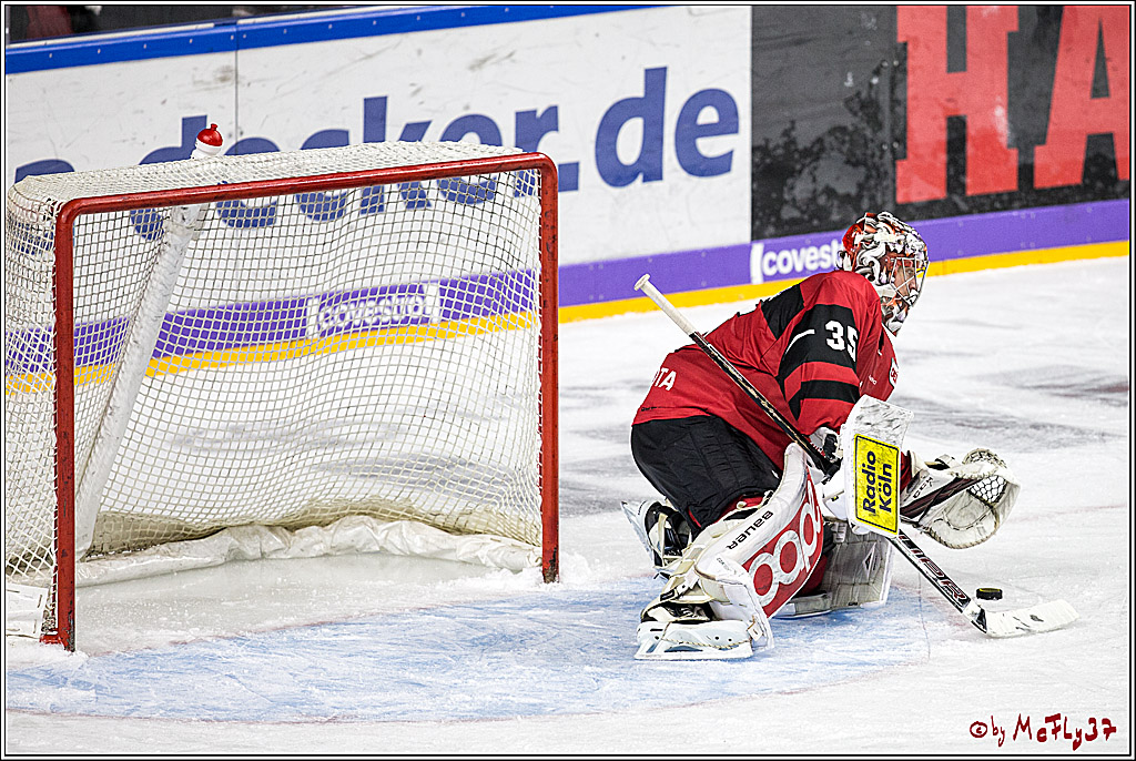 DEL, Koelner Haie - Nuernberg Thomas Sabo Ice Tigers, 10.12.2017