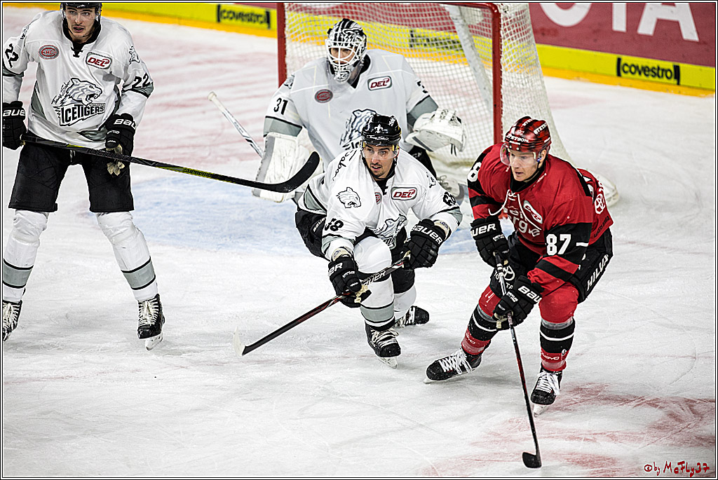 DEL, Koelner Haie - Nuernberg Thomas Sabo Ice Tigers, 10.12.2017