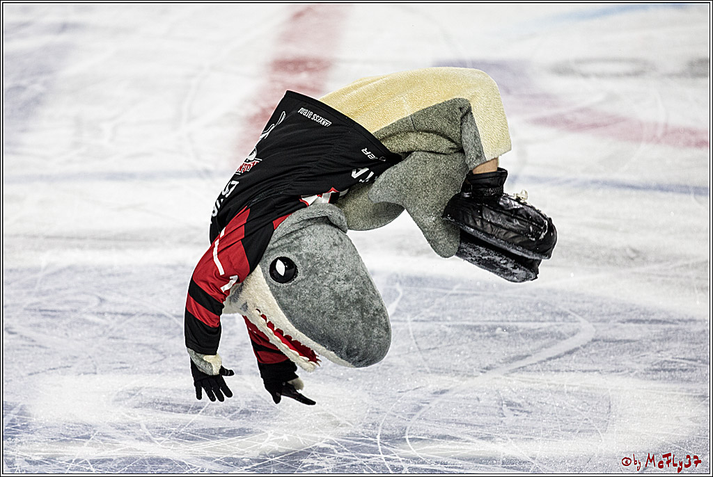 DEL, Koelner Haie - Nuernberg Thomas Sabo Ice Tigers, 10.12.2017