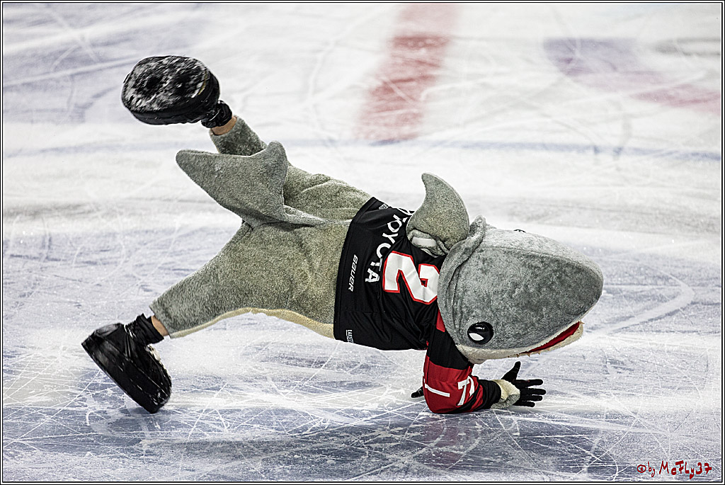 DEL, Koelner Haie - Nuernberg Thomas Sabo Ice Tigers, 10.12.2017