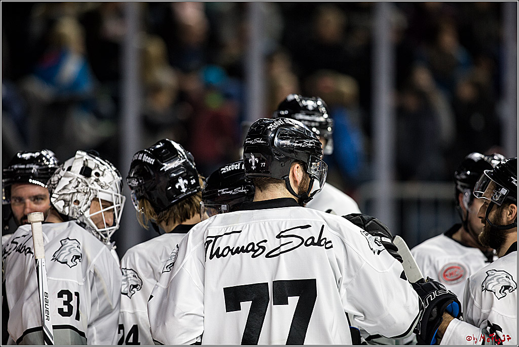 DEL, Koelner Haie - Nuernberg Thomas Sabo Ice Tigers, 10.12.2017
