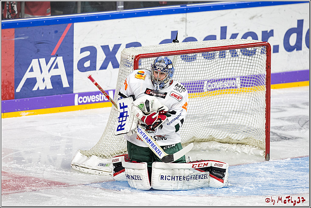 DEL, Koelner Haie - Augsburger Panther, 17.12.2017