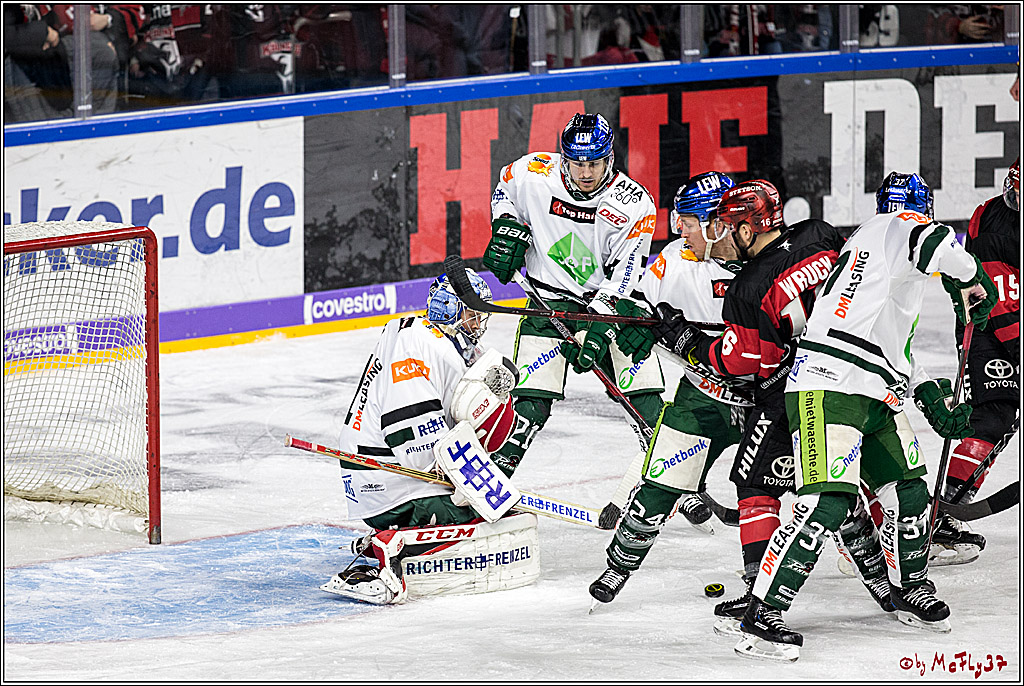 DEL, Koelner Haie - Augsburger Panther, 17.12.2017