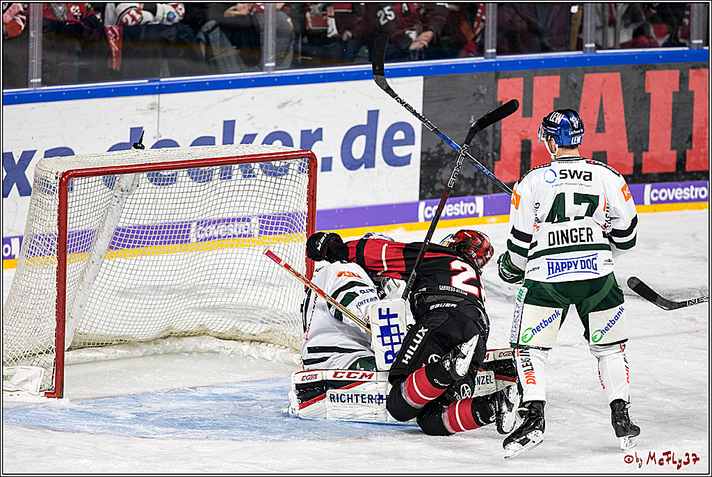 DEL, Koelner Haie - Augsburger Panther, 17.12.2017