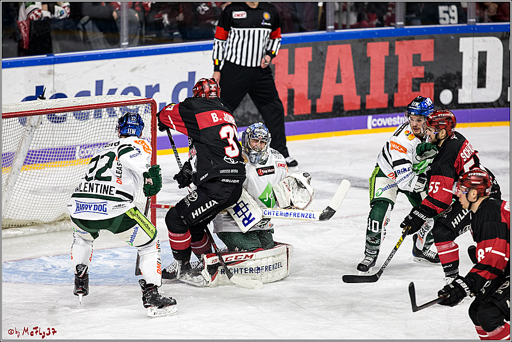 DEL, Koelner Haie - Augsburger Panther, 17.12.2017