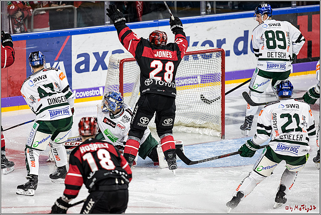 DEL, Koelner Haie - Augsburger Panther, 17.12.2017