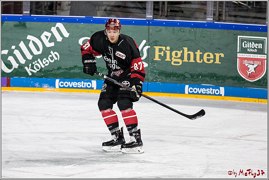 DEL, Koelner Haie - Augsburger Panther, 17.12.2017