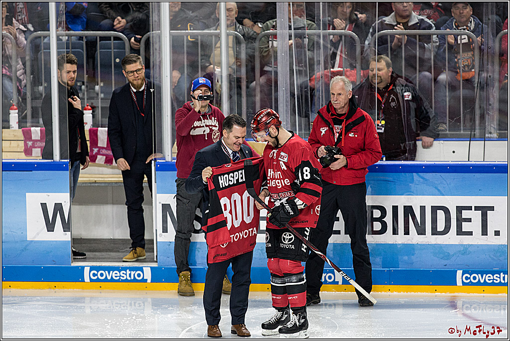 DEL, Koelner Haie - Grizzlys Wolfsburg, 30.12.2017
