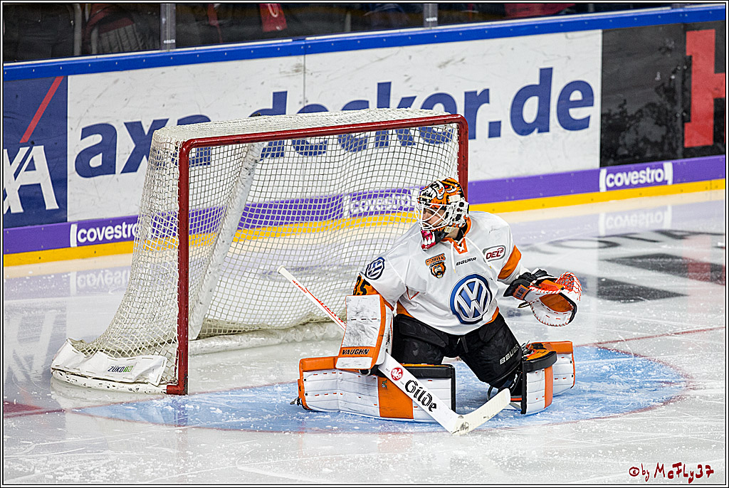 DEL, Koelner Haie - Grizzlys Wolfsburg, 30.12.2017