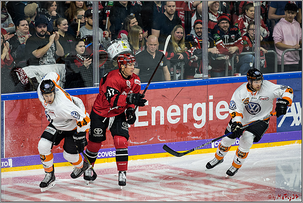 DEL, Koelner Haie - Grizzlys Wolfsburg, 30.12.2017