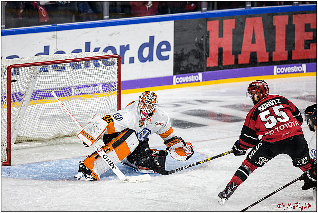 DEL, Koelner Haie - Grizzlys Wolfsburg, 30.12.2017
