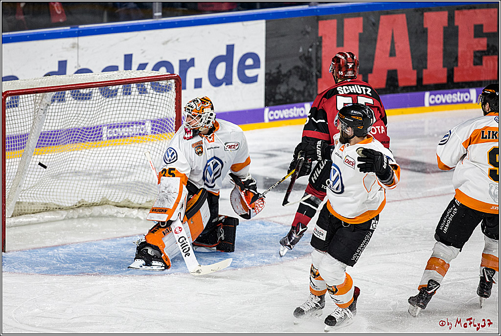 DEL, Koelner Haie - Grizzlys Wolfsburg, 30.12.2017
