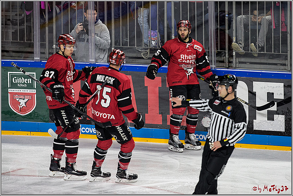 DEL, Koelner Haie - Grizzlys Wolfsburg, 30.12.2017