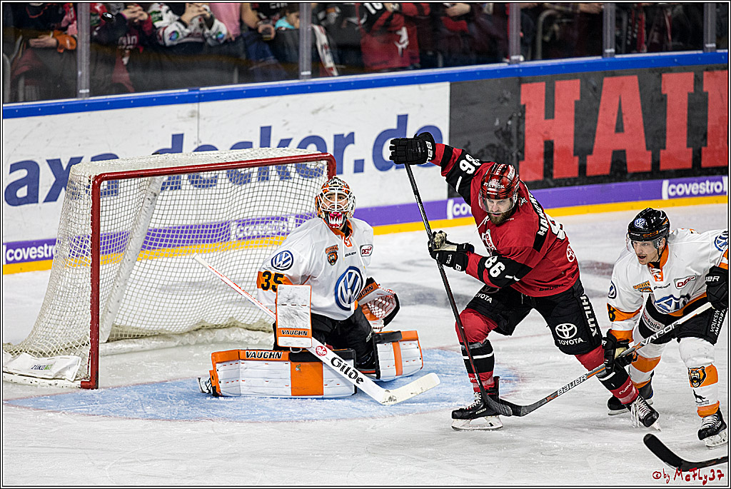 DEL, Koelner Haie - Grizzlys Wolfsburg, 30.12.2017