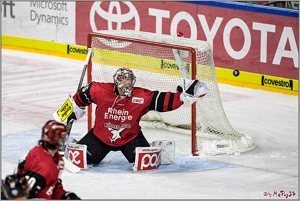 DEL, Koelner Haie - Grizzlys Wolfsburg, 30.12.2017