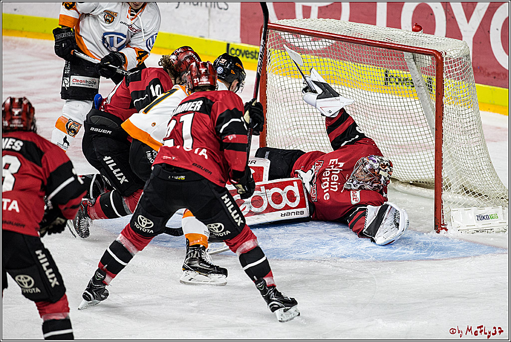 DEL, Koelner Haie - Grizzlys Wolfsburg, 30.12.2017
