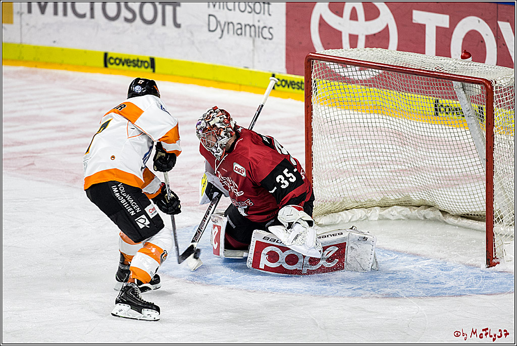 DEL, Koelner Haie - Grizzlys Wolfsburg, 30.12.2017
