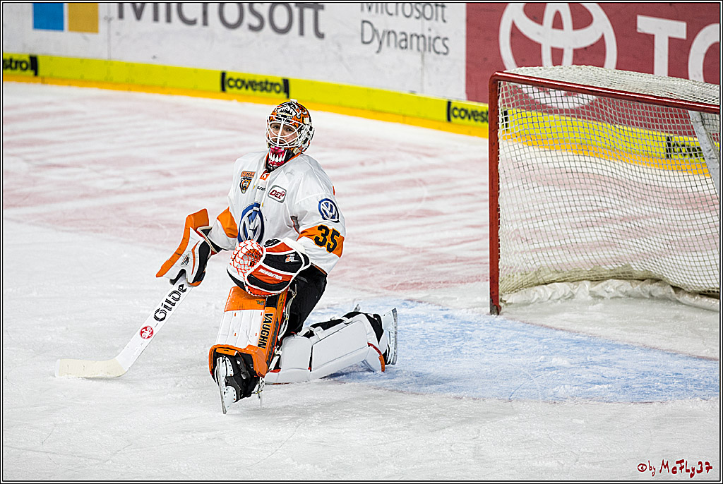 DEL, Koelner Haie - Grizzlys Wolfsburg, 30.12.2017