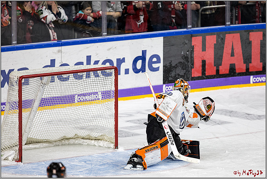 DEL, Koelner Haie - Grizzlys Wolfsburg, 30.12.2017