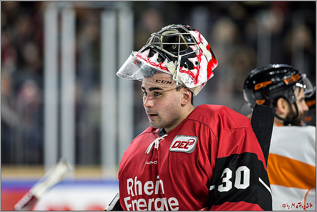 DEL, Koelner Haie - Grizzlys Wolfsburg, 30.12.2017