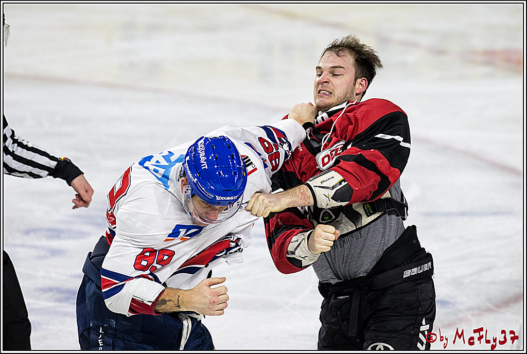 DEL, Koelner Haie - Adler Mannheim, 05.01.2018