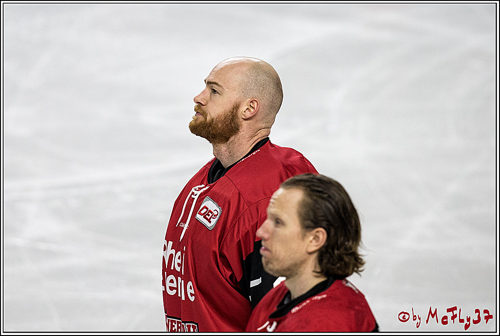 DEL, Koelner Haie - Schwenninger Wild Wings, 18.01.2018