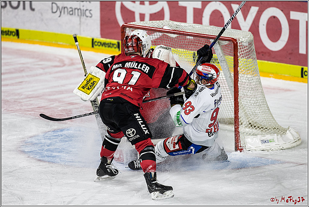 DEL, Koelner Haie - Schwenninger Wild Wings, 18.01.2018
