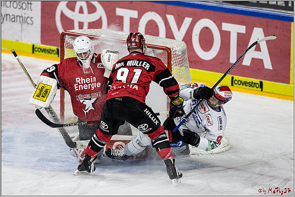 DEL, Koelner Haie - Schwenninger Wild Wings, 18.01.2018