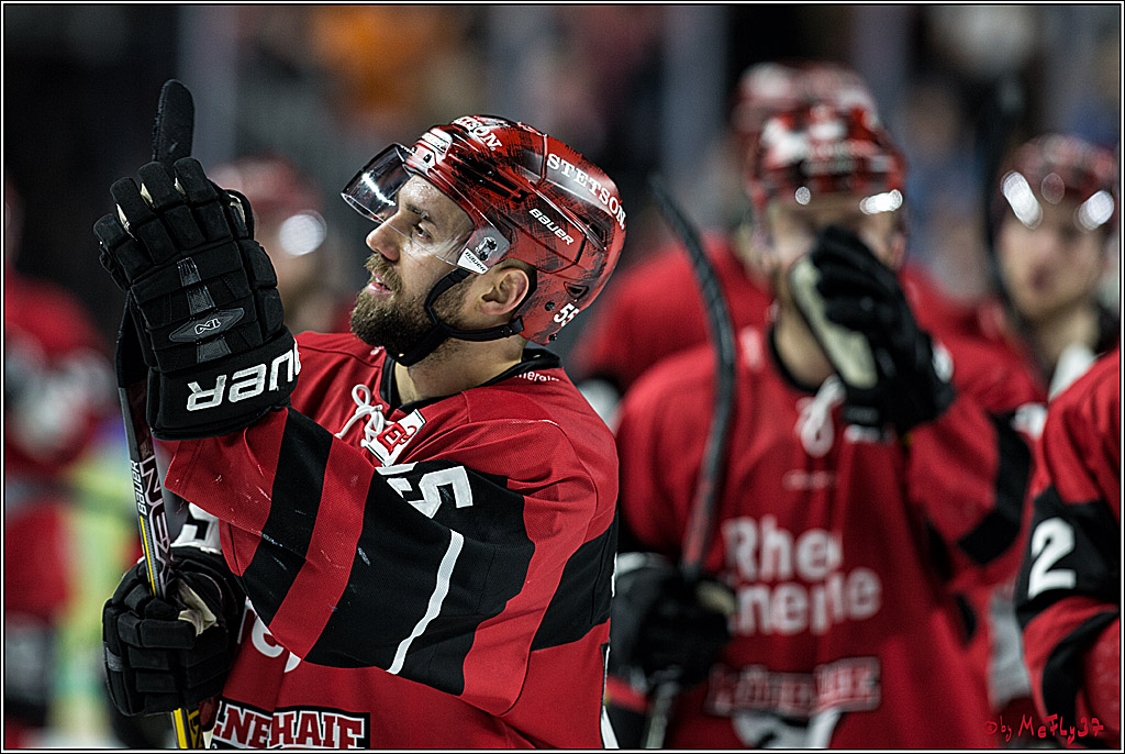 DEL, Koelner Haie - Schwenninger Wild Wings, 18.01.2018