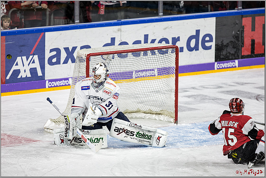 DEL, Koelner Haie - Eisbaeren Berlin, 21.01.2018