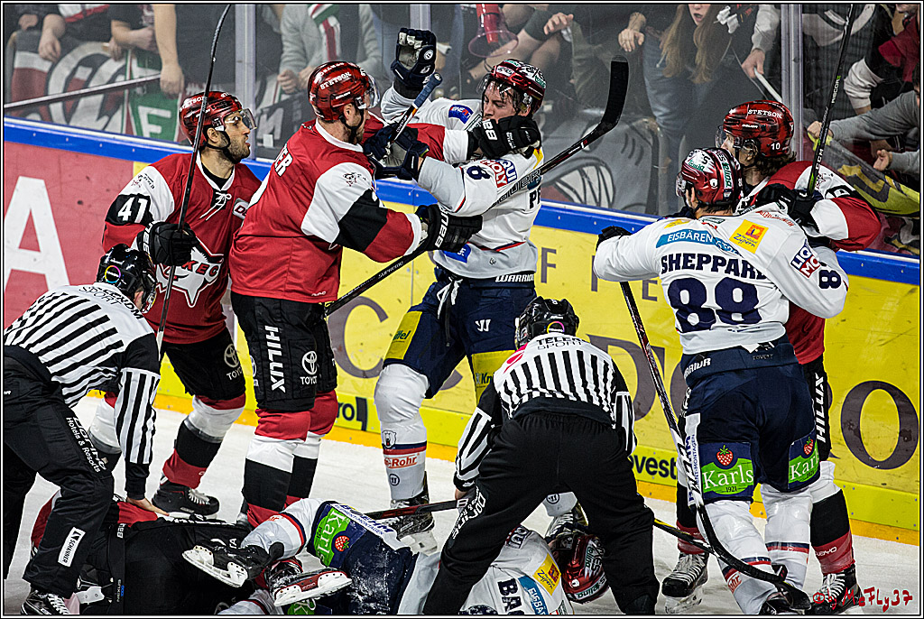 DEL, Koelner Haie - Eisbaeren Berlin, 21.01.2018