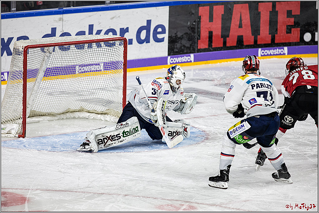 DEL, Koelner Haie - Eisbaeren Berlin, 21.01.2018