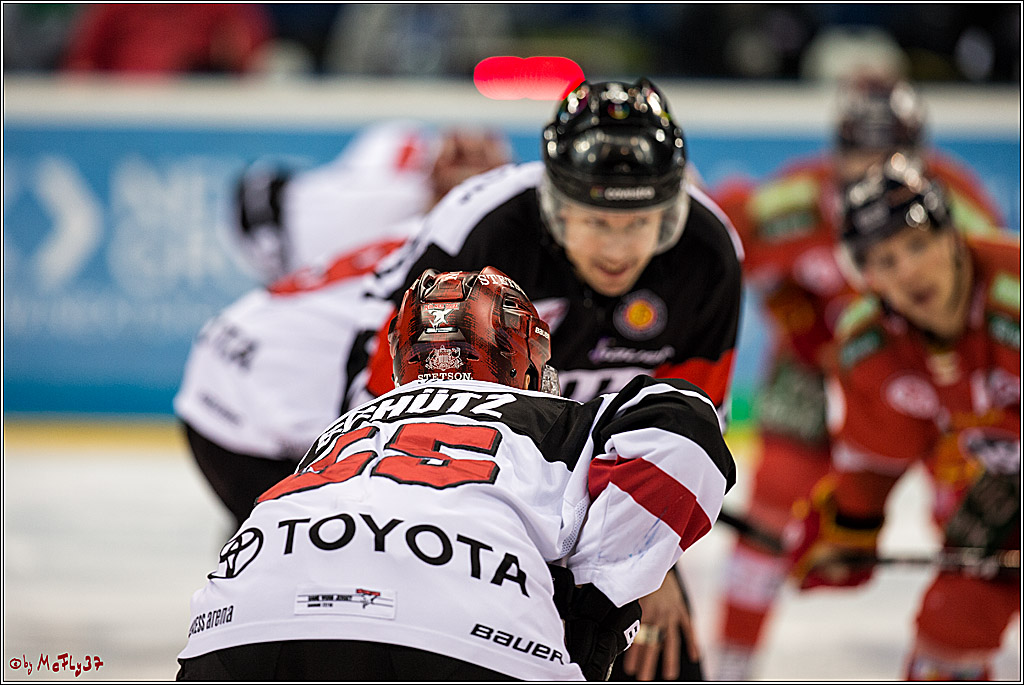 DEL, Duesseldorfer EG - Koelner Haie, 02.02.2018