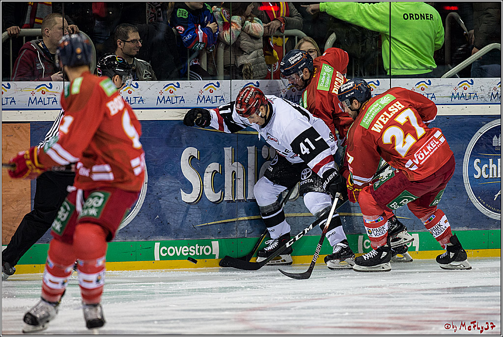 DEL, Duesseldorfer EG - Koelner Haie, 02.02.2018
