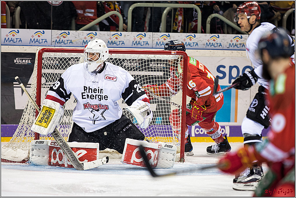 DEL, Duesseldorfer EG - Koelner Haie, 02.02.2018