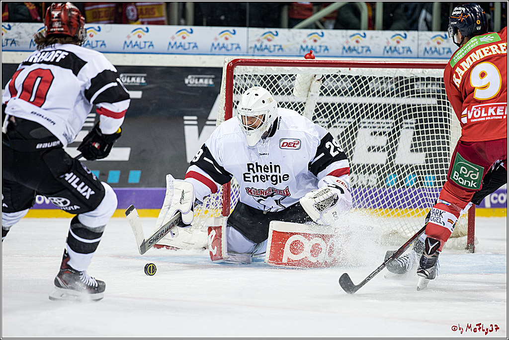 DEL, Duesseldorfer EG - Koelner Haie, 02.02.2018