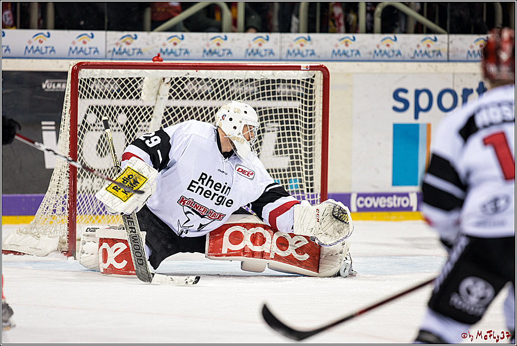 DEL, Duesseldorfer EG - Koelner Haie, 02.02.2018