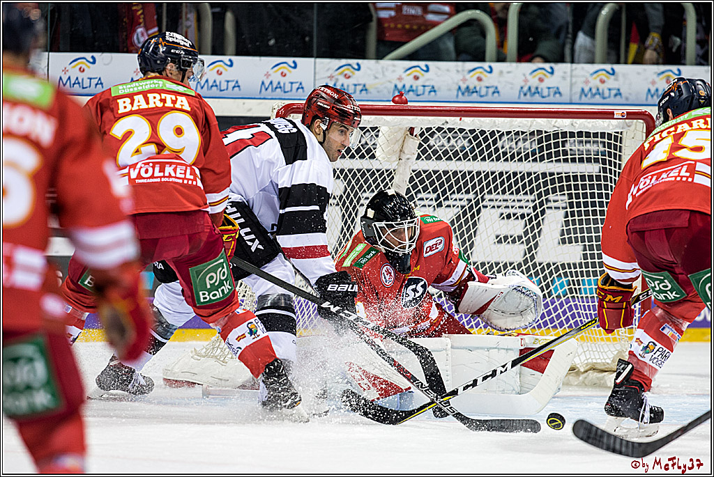 DEL, Duesseldorfer EG - Koelner Haie, 02.02.2018