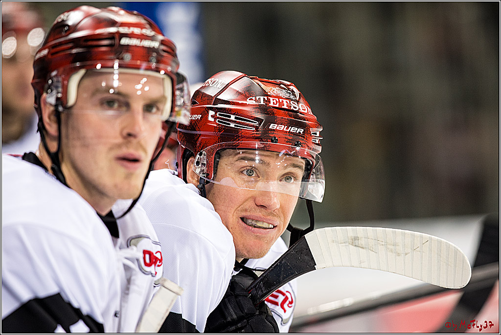 DEL, Duesseldorfer EG - Koelner Haie, 02.02.2018