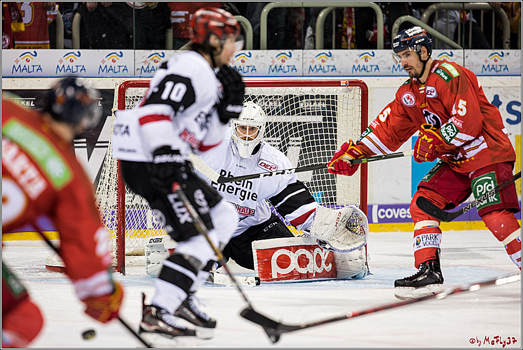 DEL, Duesseldorfer EG - Koelner Haie, 02.02.2018
