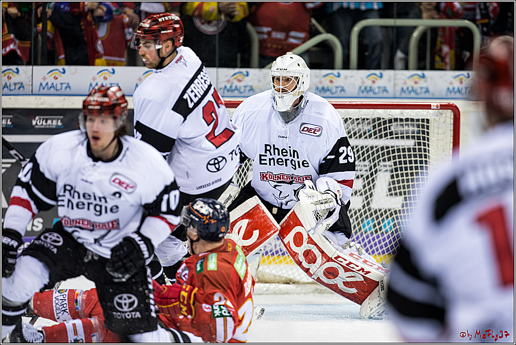 DEL, Duesseldorfer EG - Koelner Haie, 02.02.2018
