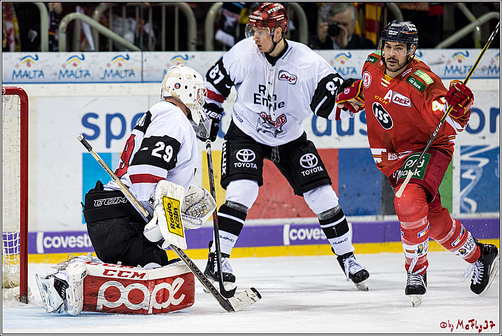 DEL, Duesseldorfer EG - Koelner Haie, 02.02.2018