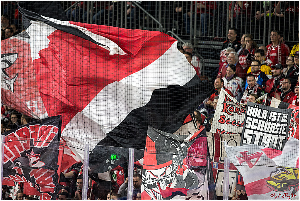 DEL-Playoff, Koelner Haie - Nuernberg Ice Tigers, 15.03.2018