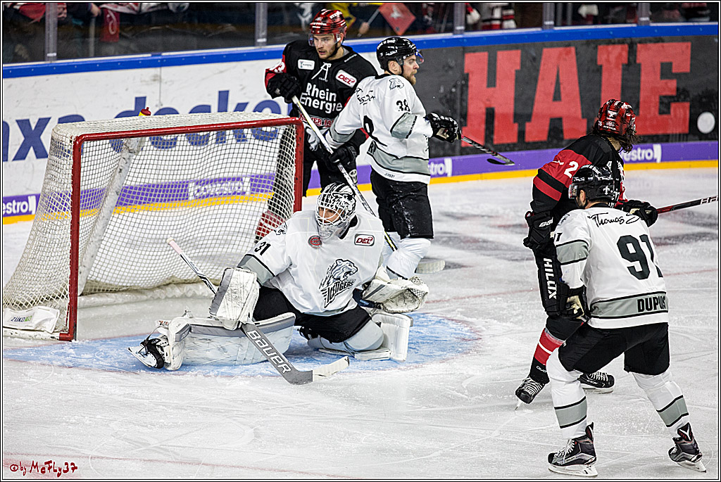 DEL-Playoff, Koelner Haie - Nuernberg Ice Tigers, 15.03.2018