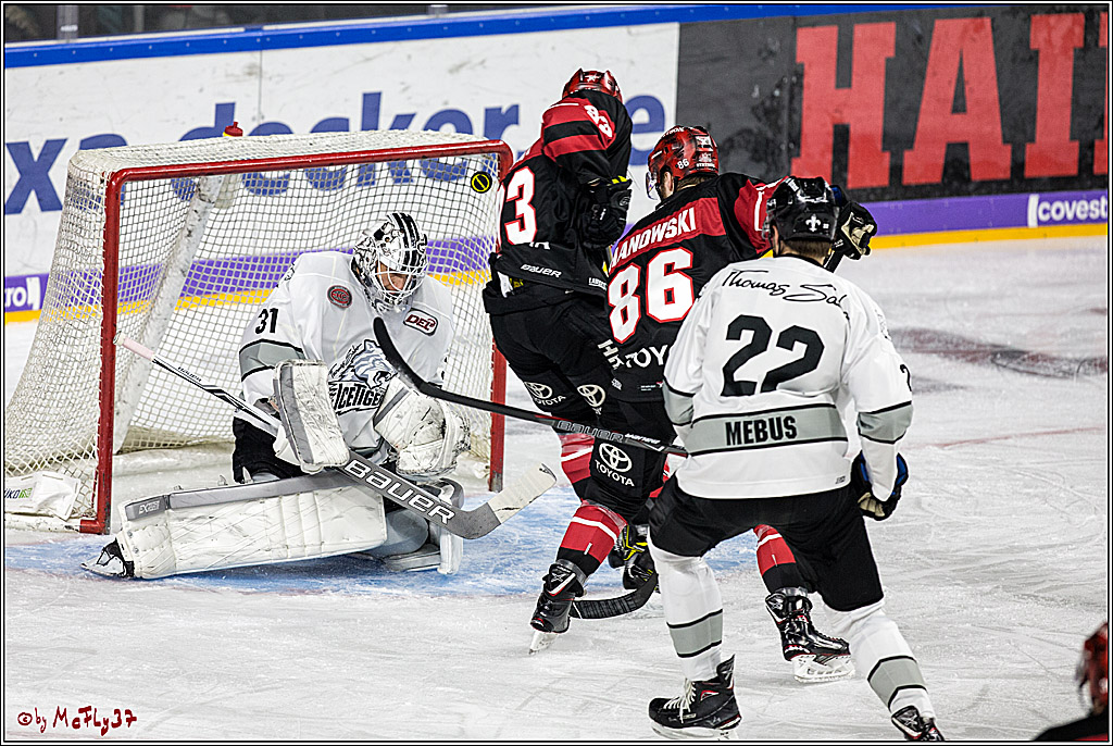 DEL-Playoff, Koelner Haie - Nuernberg Ice Tigers, 15.03.2018