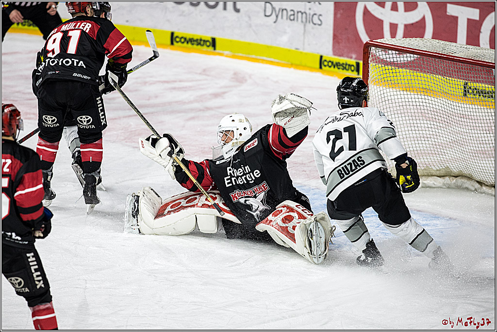 DEL-Playoff, Koelner Haie - Nuernberg Ice Tigers, 15.03.2018
