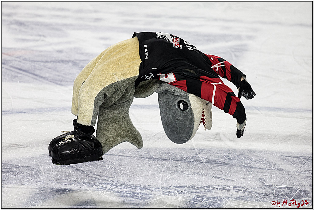 DEL-Playoff, Koelner Haie - Nuernberg Ice Tigers, 15.03.2018