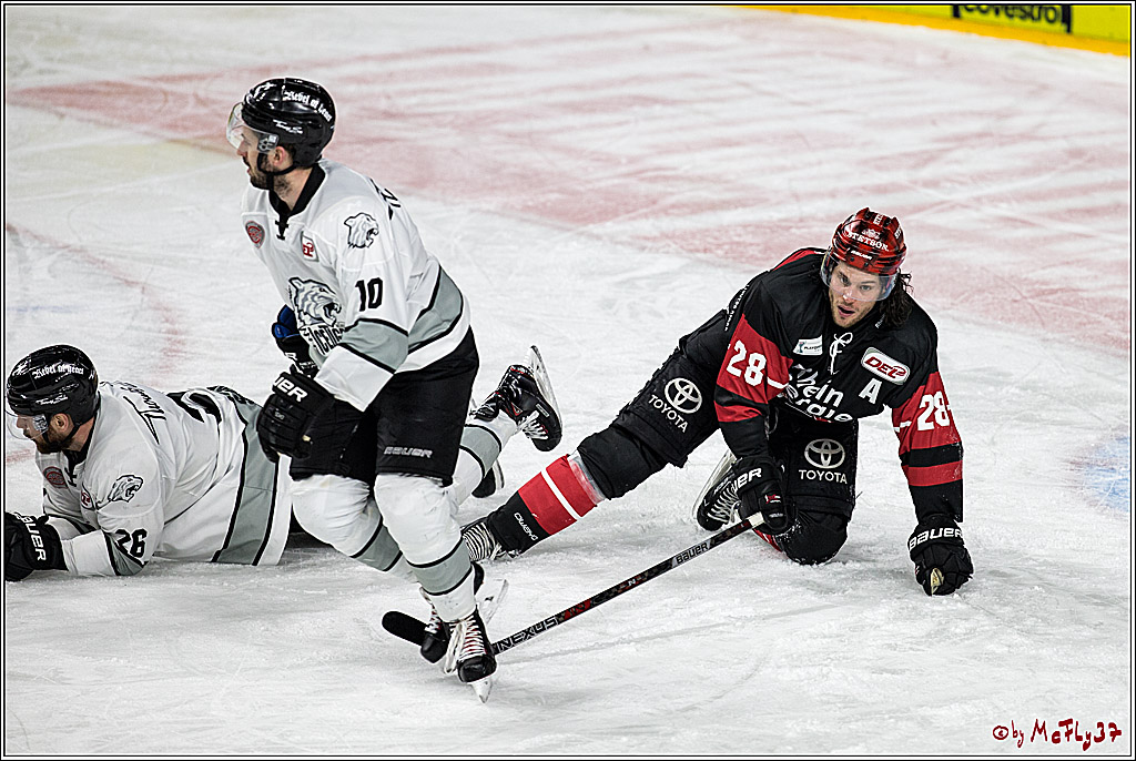 DEL-Playoff, Koelner Haie - Nuernberg Ice Tigers, 15.03.2018