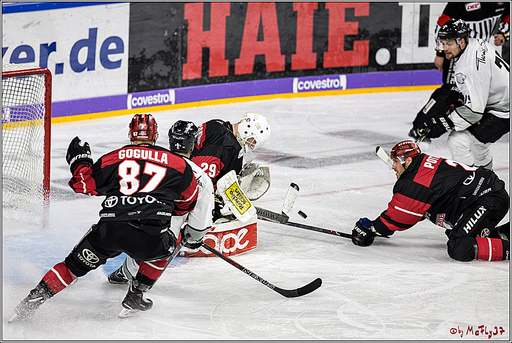 DEL-Playoff, Koelner Haie - Nuernberg Ice Tigers, 15.03.2018
